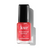 Londontown Kur Sheer Strength Nail Blush (Poppy)- Beauty Affairs 1